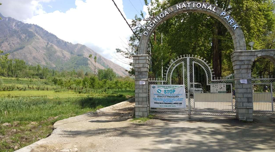 Dachigam National Park, Jammu And Kashmir